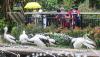 Dibuka Hari Ini, Taman Margasatwa Ragunan Langsung Diserbu 7.587 Pengunjung  