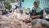 Harga Daging Ayam di Surabaya Naik Menjadi Rp32.000 per Kilogram - Bagian 1