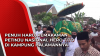 Video Penuh Haru, Pemakaman Petinju Nasional Hero Tito di Kampung Halamannya
