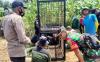 Kerangkeng Besi Ini Dipasang untuk Tangkap Buaya Pemangsa Manusia