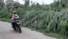 Abu Vulkanik Gunung Merapi Selimuti Desa Babadan Magelang - Bagian 3