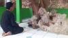 Air Keramat dari Petilasan Nyi Rambut Kasih Majalengka Dibawa ke IKN Nusantara