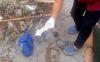 Temukan Bungkusan Aneh Mengapung di Kali, Petugas Kebersihan Kaget Ternyata Isinya Mayat Bayi