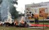 BKSDA Sumsel Bakar 18 Satwa Dilindungi yang Diawetkan, Harimau hingga Beruang