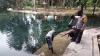 Gadis Cantik Diterkam Buaya saat Rekreasi di Danau, Luka Robek di Paha 83 Jahitan