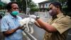 Hewan-Hewan Pasar Barito Disuntik Vaksin Rabies - Bagian 1