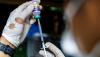 Hewan-Hewan Pasar Barito Disuntik Vaksin Rabies - Bagian 3
