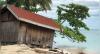 Pulau Derawan Terancam Hilang Tersapu Abrasi