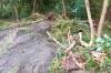 Petani Bantul Keluhkan Pengerukan Pasir di Pantai Gua Cemara 