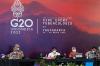 Menkes Budi G Sadikin Ingin Negara G20 Miliki Sistem Penanganan TBC yang Tangguh