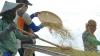 Kabar Baik, BPS Sebut Daya Beli Petani Gorontalo Meningkat
