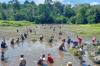 Masyarakat Desa Pisak Sambut Paskah dengan Panen Ikan di Rawa