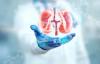 4 Organ Ekskresi pada Manusia, Fungsi dan Contohnya untuk Proses Pengeluaran Sisa Metabolisme