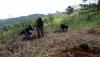 Momentum Hari Bumi, Perkuat Kerja Sama Hutan Organik Megamendung  - Bagian 1
