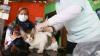 Cegah Rabies, 1.812 Hewan di Jakarta Barat Disuntik Vaksin