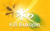 Sukses Gaet 51 Perusahaan Besar Korea Jadi Nasabah, KB Bukopin Gencarkan Korean Link Business