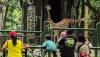 Hore, Sejumlah Satwa di Kebun Binatang Ragunan Melahirkan saat Lebaran