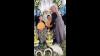 Heboh Pengantin Pria di Magetan Kabur saat Acara Pernikahan, Ini Faktanya 