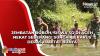 Jembatan Roboh, Siswa SD di Aceh Besar Nekat Seberangi Sungai Berarus Deras Habitat Buaya