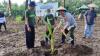 Kementan Dorong Petani Sulut Terus Budidayakan Kelapa, Bantuan Rp21,93 Miliar Dikucurkan
