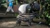 Koleksi Tapir Kebun Binatang Bandung Bertambah - Bagian 1