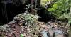Mengintip Gua Purba Misterius, Tersembunyi di Tengah Hutan Perbatasan Jombang-Mojokerto