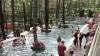 Menikmati Kolam Renang Air Panas Alami di Wisata Guci Forest Tegal