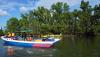 Menyusuri Teluk Balikpapan yang Dikelilingi Hutan Mangrove - Bagian 2