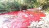 Sungai Cimeta Berwarna Merah Darah, DLH KBB Belum Terima Laporan Ikan Mati