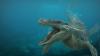 Wow, Fosil Kadal Raksasa Berusia 80 Juta Tahun Ditemukan di Laut Merah Arab Saudi
