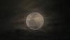 Penampakan Fenomena Supermoon Stroberi Terlihat dari Langit Kota Depok - Bagian 1