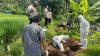 Pembuangan Bangkai Kambing di Sungai Serang Semarang, Pelaku Diduga Langgar Perizinan