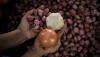 Harga Bawang Merah di Kendari Tembus Rp75.000 per Kilogram - Bagian 2