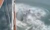 Viral, Bak Peristiwa Titanic Kapal Pesiar Tabrak Gunung Es di Alaska 