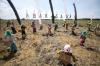 Potret Festival Anak Sawah Peringati Hari Anak Nasional 2022 di Sidoarjo - Bagian 3