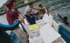 Polisi Lepas Liarkan Benih Lobster dari Penangkaran Ilegal di Palembang