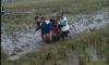 Tragis, 5 Petani di Pemalang Tersambar Petir saat Berteduh di Gubuk Sawah, 3 Tewas
