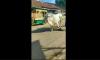  Sapi di Jepara Ngamuk saat Akan Disembelih, Tabrak 2 Motor dan Lukai Warga