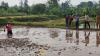 Heboh, Warga Cisaat Sukabumi Temukan Mayat Pria Lansia di Tengah Sawah