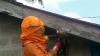 Serang Penghuni Rumah, Tawon Vespa di Tarakan Dievakuasi Petugas Damkar