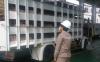 Lihat Truk Mencurigakan, Anggota TNI Gagalkan Pengiriman Babi dari Bali ke Jakarta-Bandung