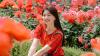 Amelia Tantono, YouTuber yang Pernah Main Drama Korea Bareng Ji Soo