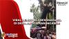 Viral Lembu Ngaben Raksasa di Desa Antiga Karangasem