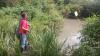 Bikin Geger, Buaya 2 Meter Masuk Kolam Warga di Bintan