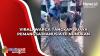 Viral, Warga Tangkap Buaya Pemangsa Manusia di Nunukan