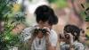 Contoh Teks Laporan Hasil Observasi Singkat beserta Strukturnya