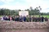 Padang Sidempuan Sukses Panen Bawang Merah, Diperkirakan Capai 3 Ton