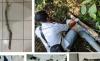 Kasus Pembunuhan Sadis di Magelang Terungkap, Pelaku Ternyata Seorang Pelajar