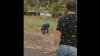 Viral Pencuri Anjing Nangis Ditangkap Warga, Minta-Minta Ampun saat Dihakimi Massa