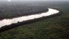 Penampakan dari Udara Hutan Mangrove Beralih Fungsi Menjadi Perkebunan Sawit - Bagian 3